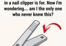The “small round hole” on the nail clipper has special and powerful uses
